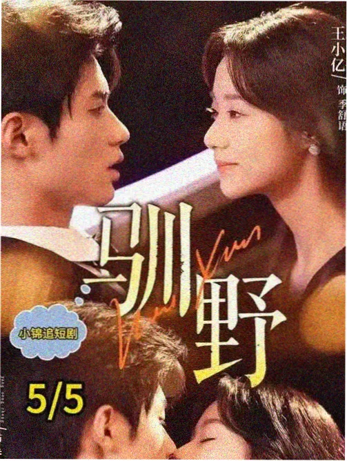 上海滩电视剧数字化条目封面